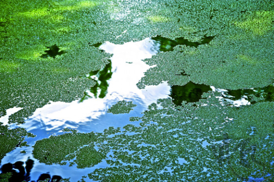 scintillements et variations